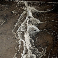 Ghost Dancer