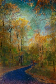 Autumn_Path