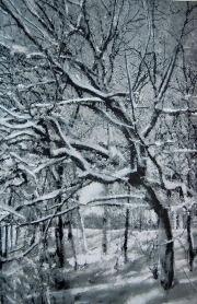 Winter Trees 3