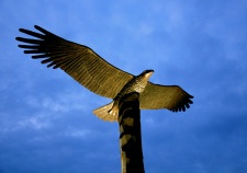 Sussman Heidi Eagle at Sunrise West Orange 16x20